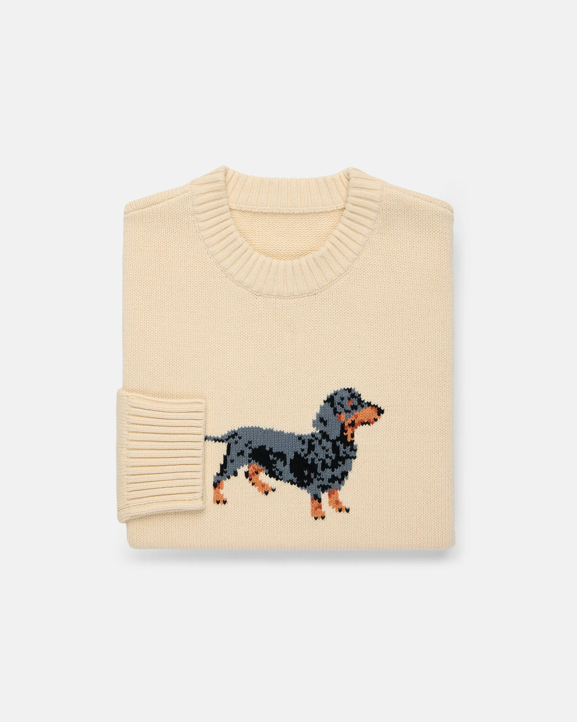 DACHSHUND INTARSIA KNIT COTTON SWEATER - 1