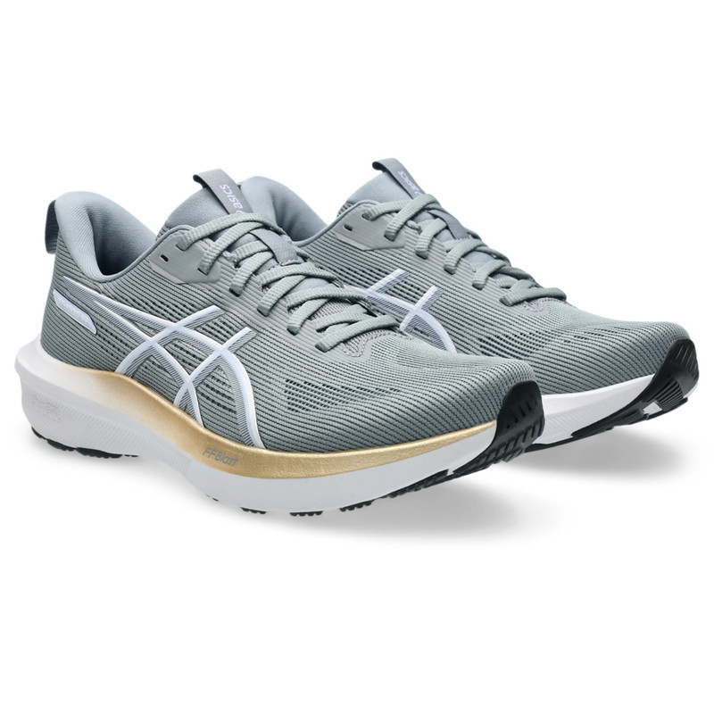 Asics GT-1000 14 outlook