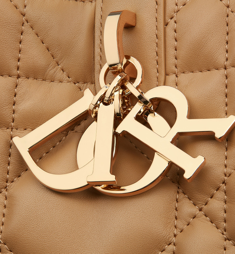 Medium Dior Toujours Bag 7