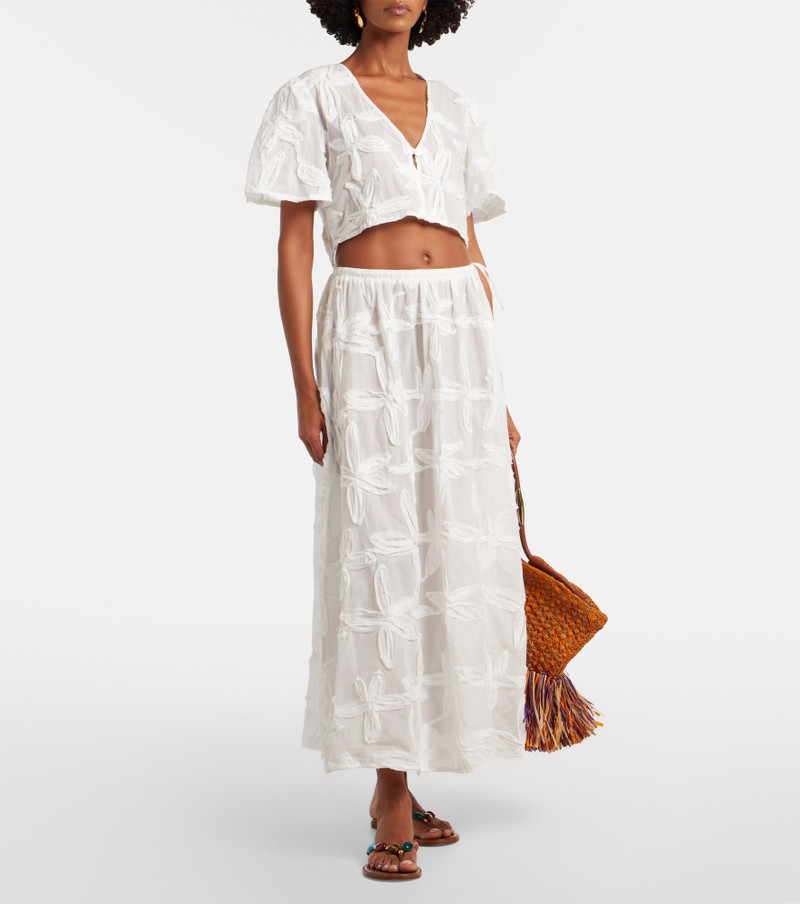Coast Shell cotton crop top 5
