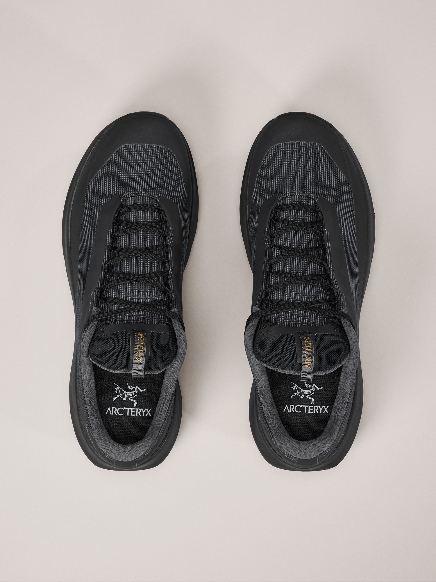 Norvan LD 4 GTX Shoe - 3