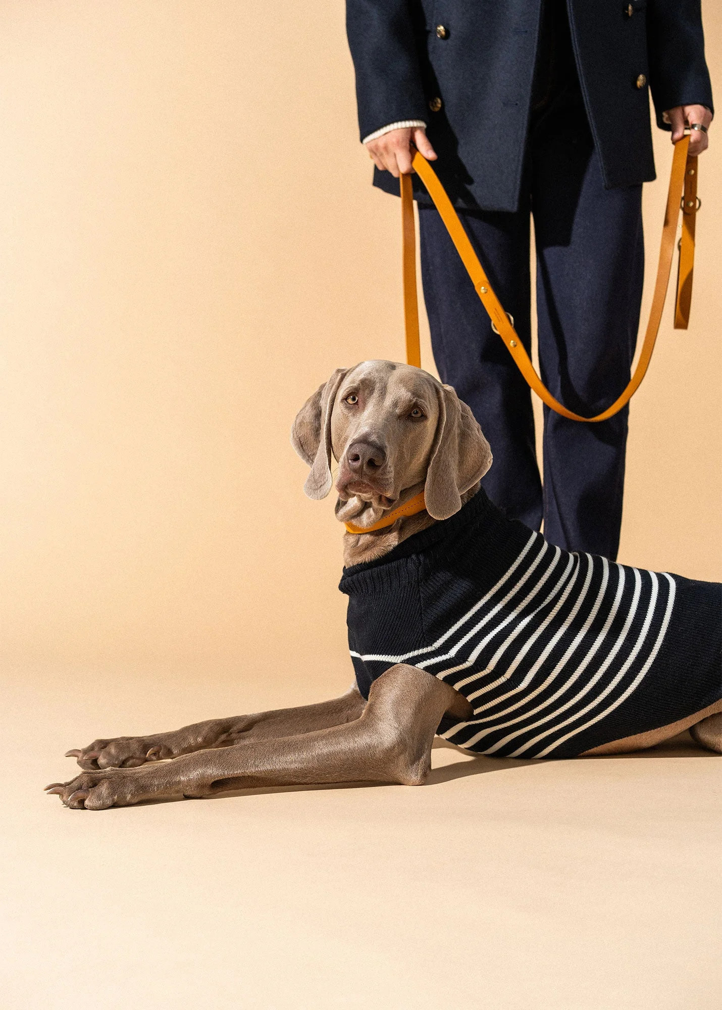 PARISIAN PUP Sweater - 1