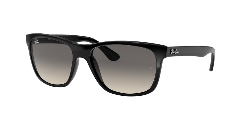 모델 번호: RB4181 3