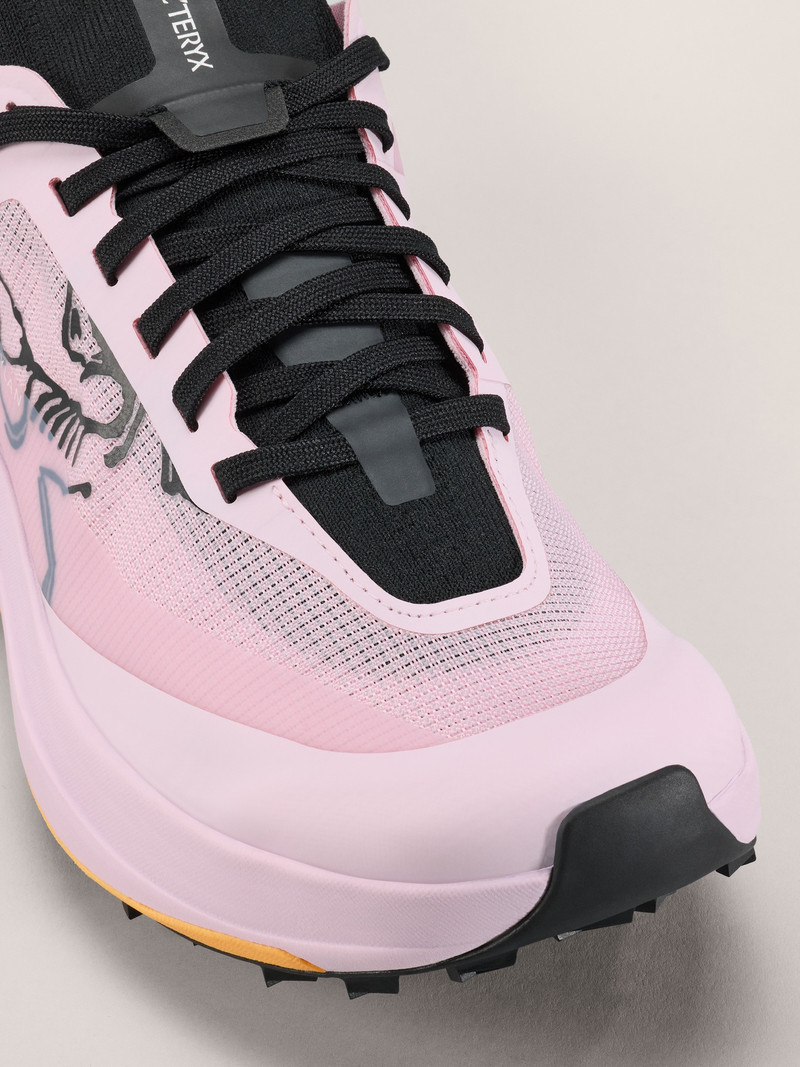 Arc'teryx Sylan Pro Shoe outlook