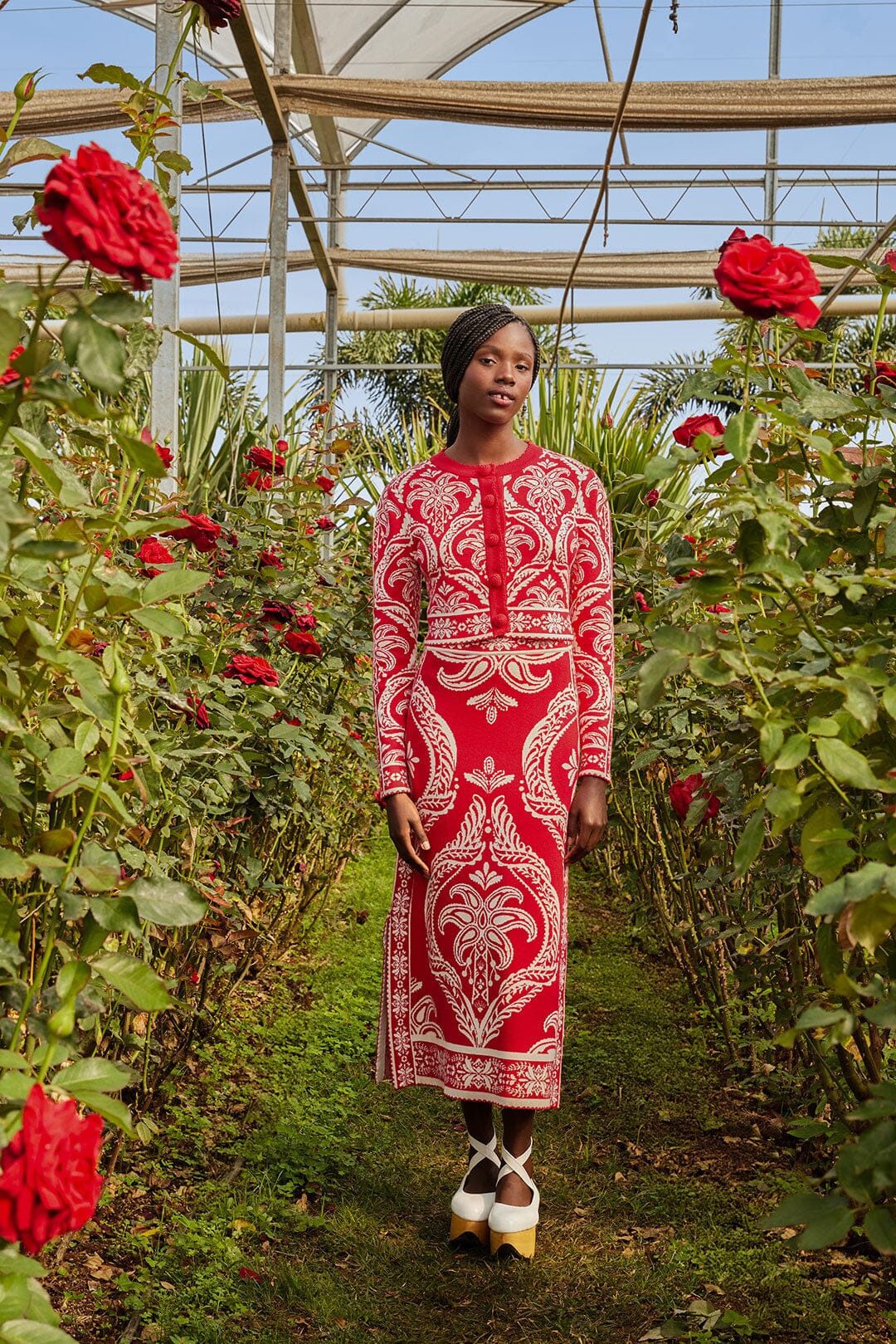 Red Tropical Jacquard Knit Cardigan - 3