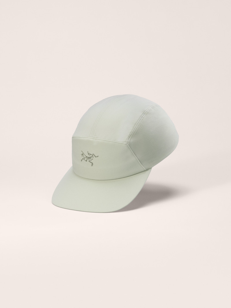 Gamma 5 Panel Cap 1