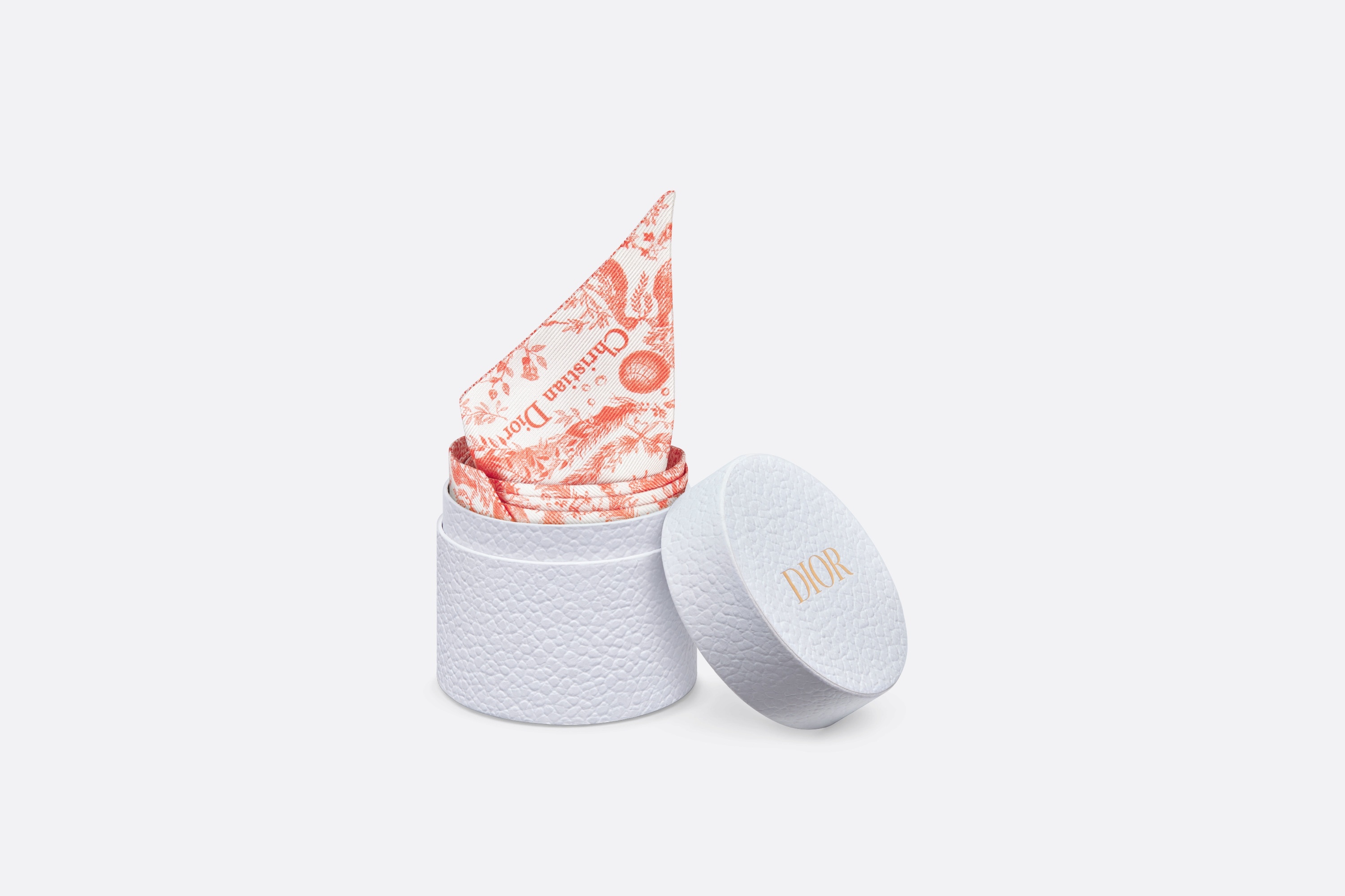 Dioriviera Toile de Jouy Soleil Mitzah Scarf - 6
