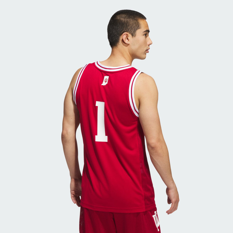Indiana Hoosiers Away Swingman Jersey 3