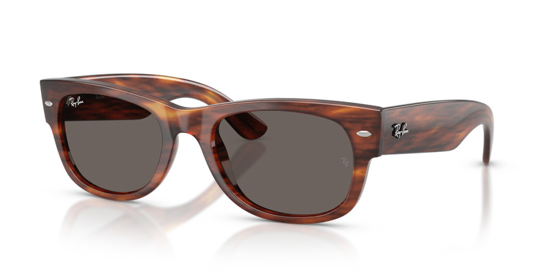 MEGA WAYFARER II 1