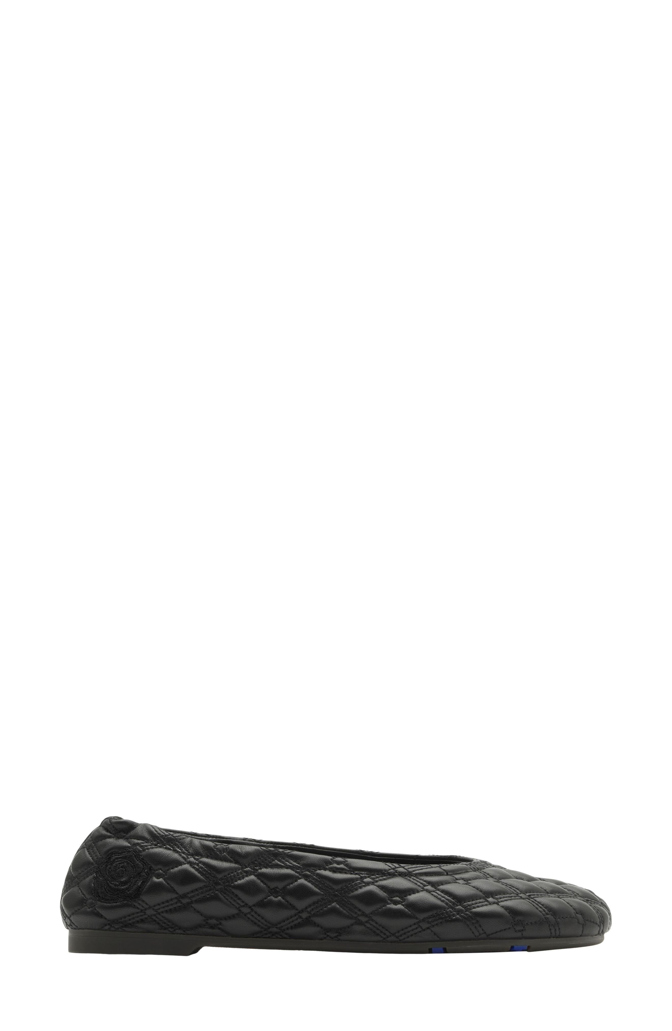 Sadler Embroidered Ballerina Flats - 1