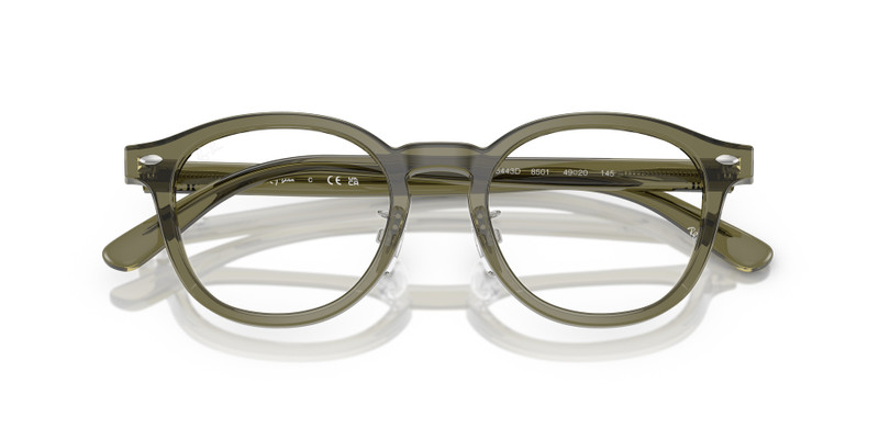 Ray-Ban RB5443D OPTICS outlook