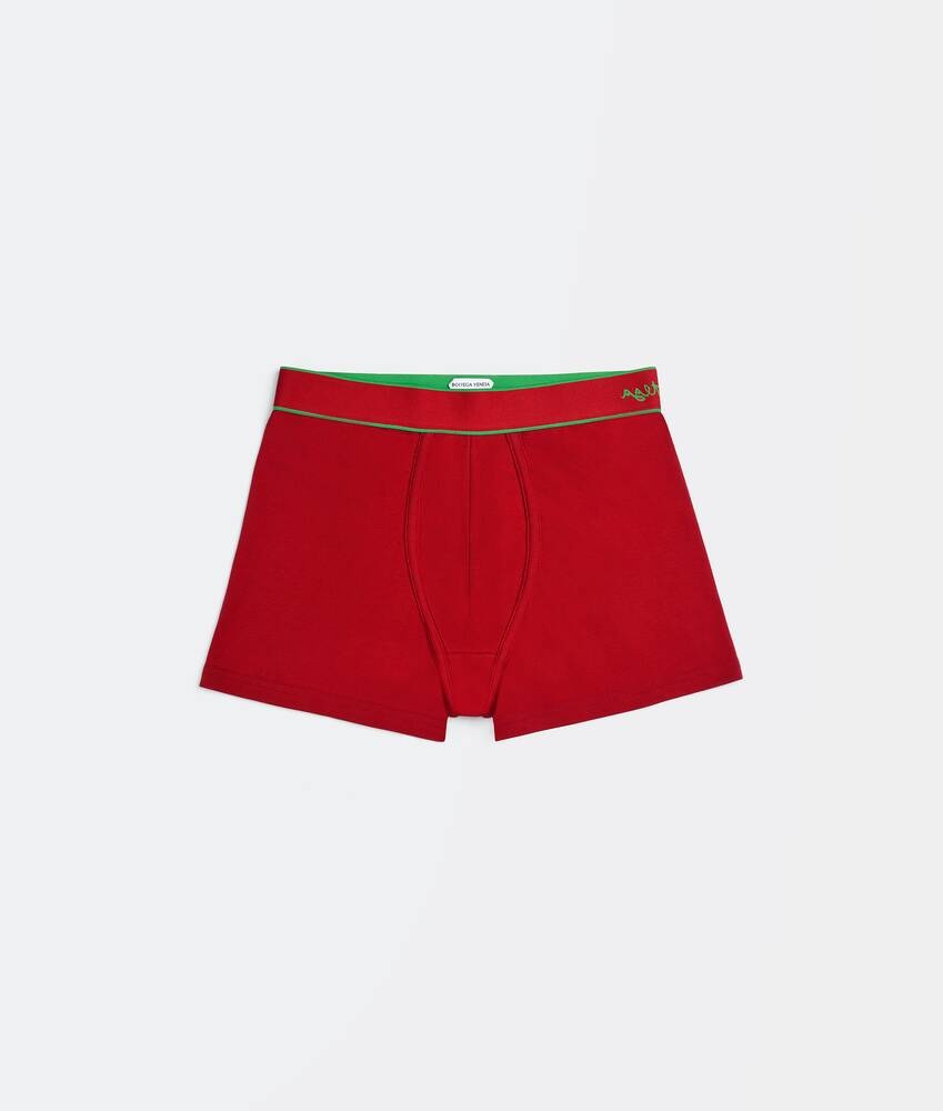 boxer briefs - 4