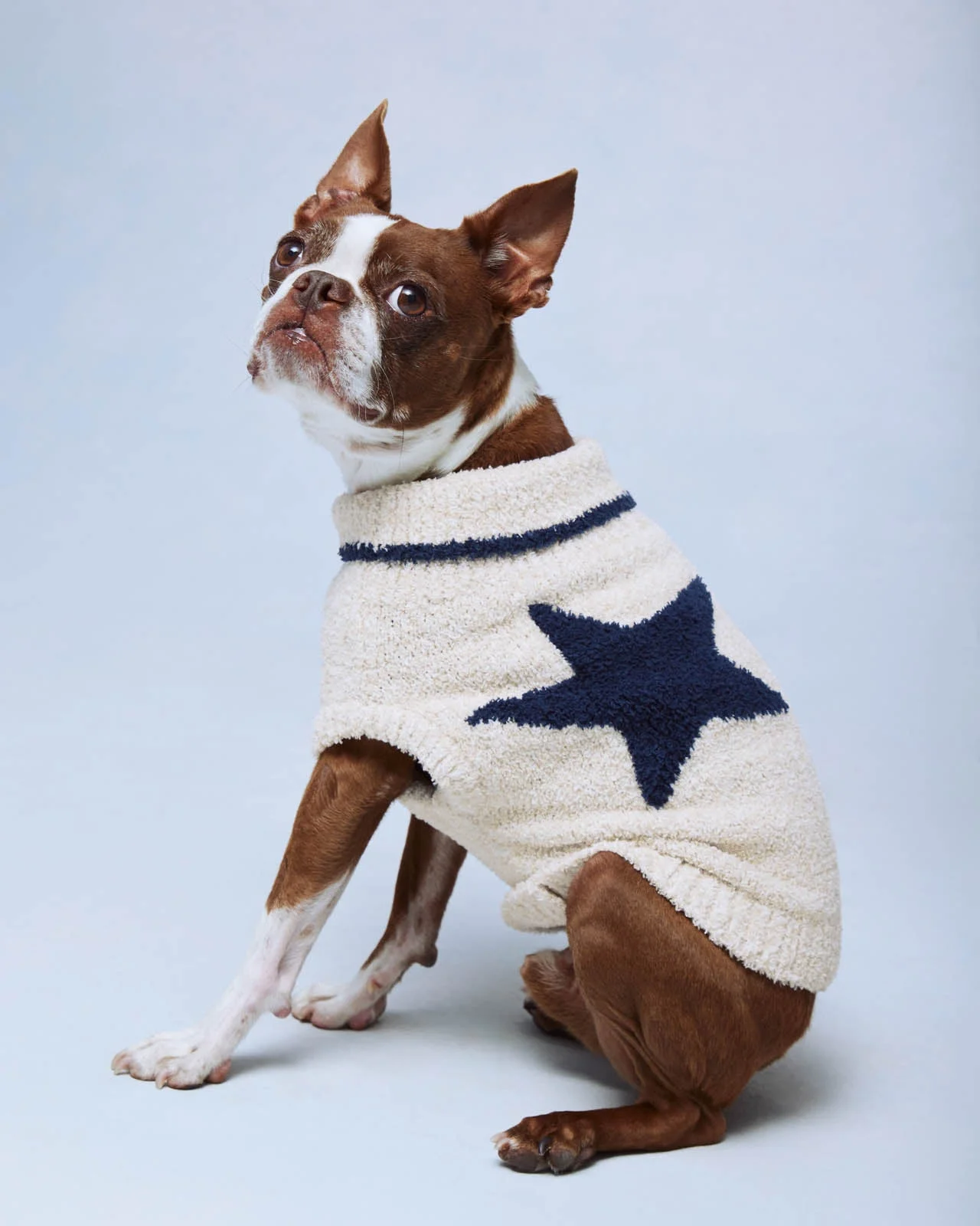 Navy Star Toss Fuzzy Pet Sweater - 1