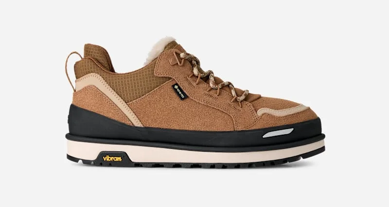 ® Men's Lowmel Guard GTX in Chestnut - 1