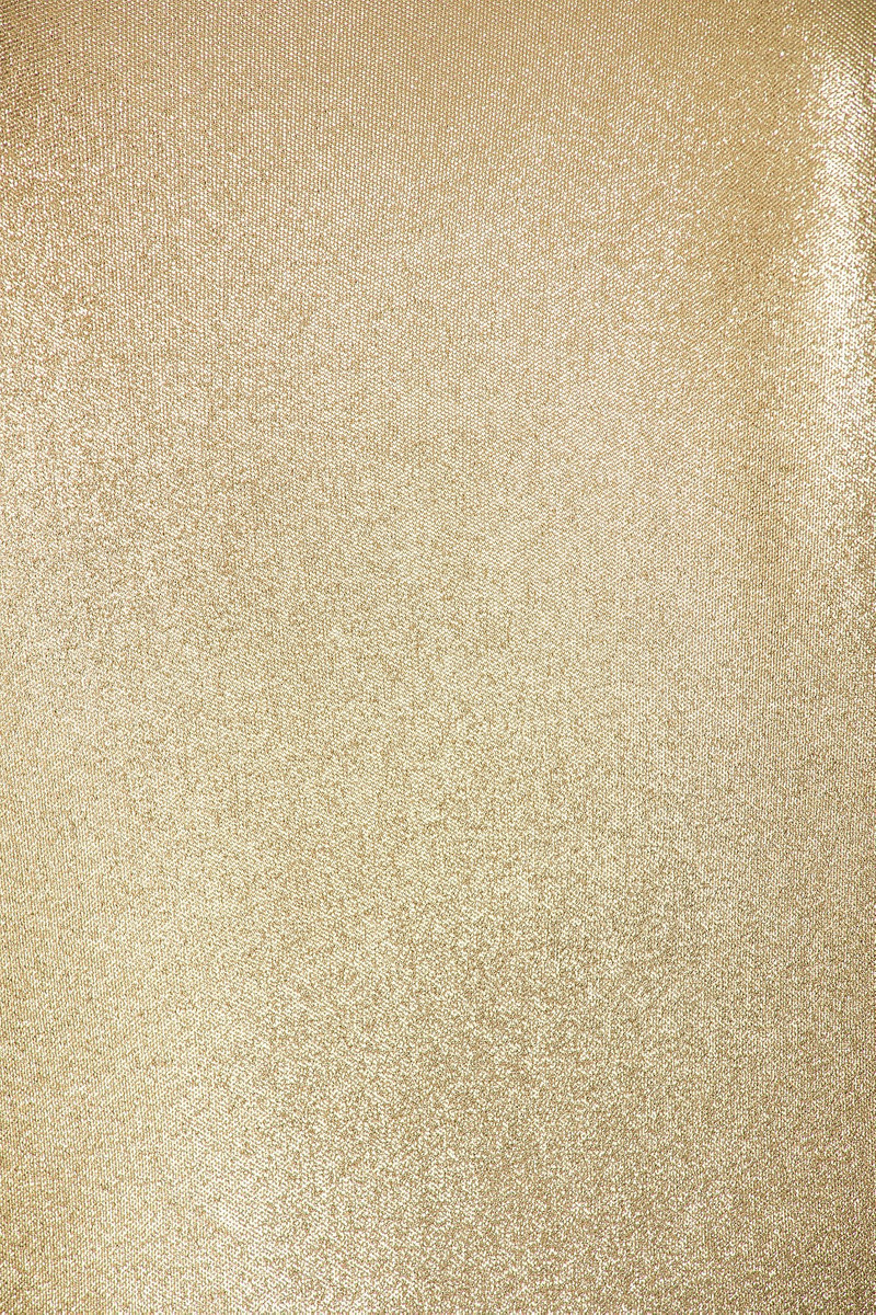 SID NEIGUM Floor Length Reversible Cowl Dress outlook