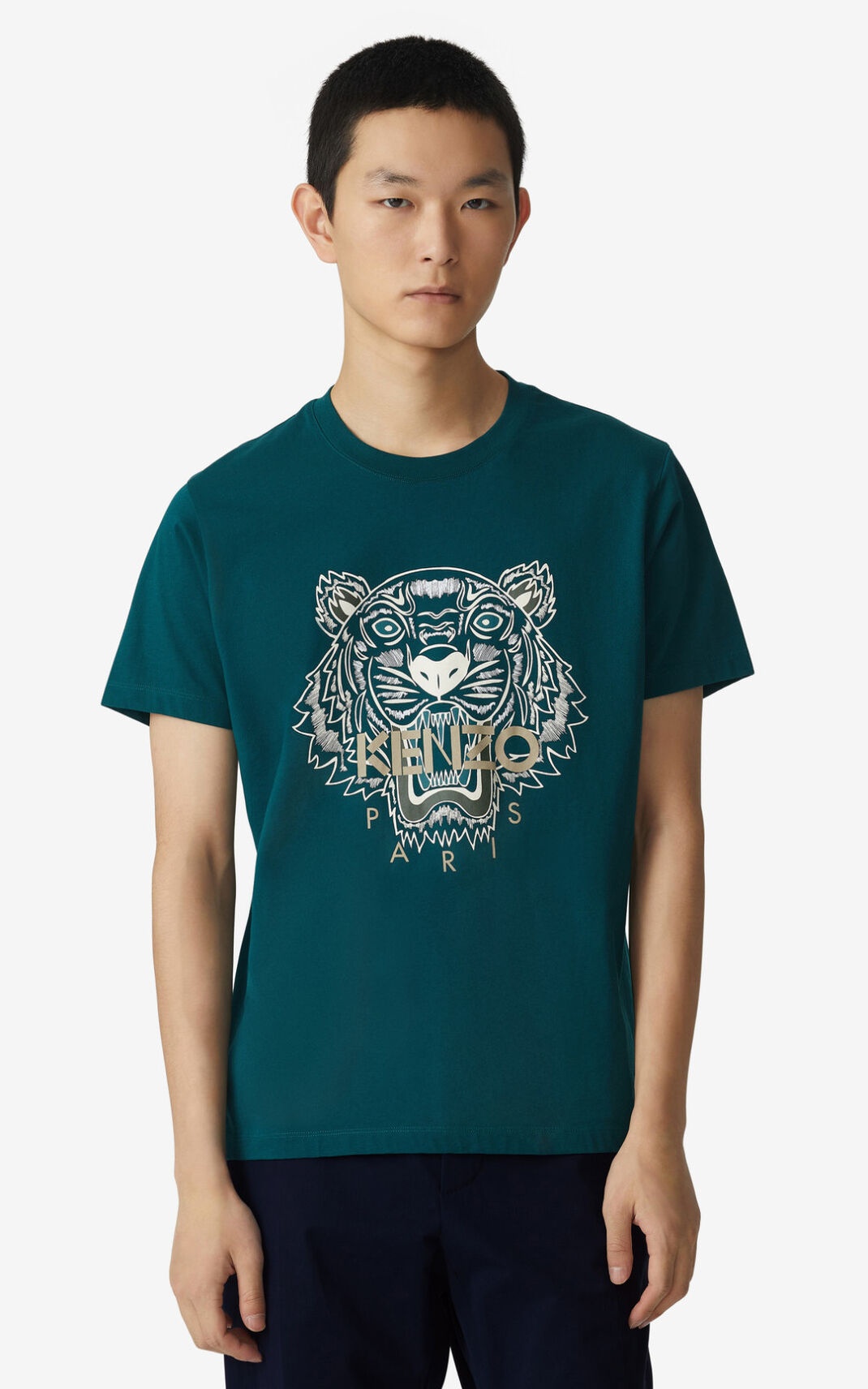 Tiger t-shirt - 2