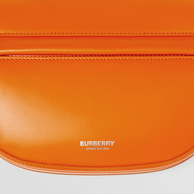 Burberry Mini Leather Zip Olympia Bag outlook