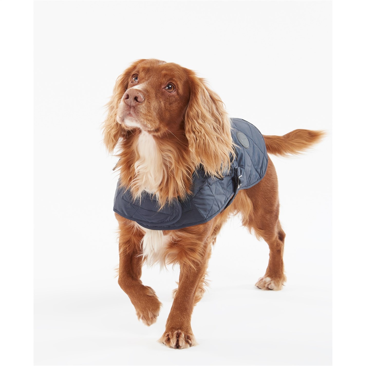 QUILTED DOG COAT - 2