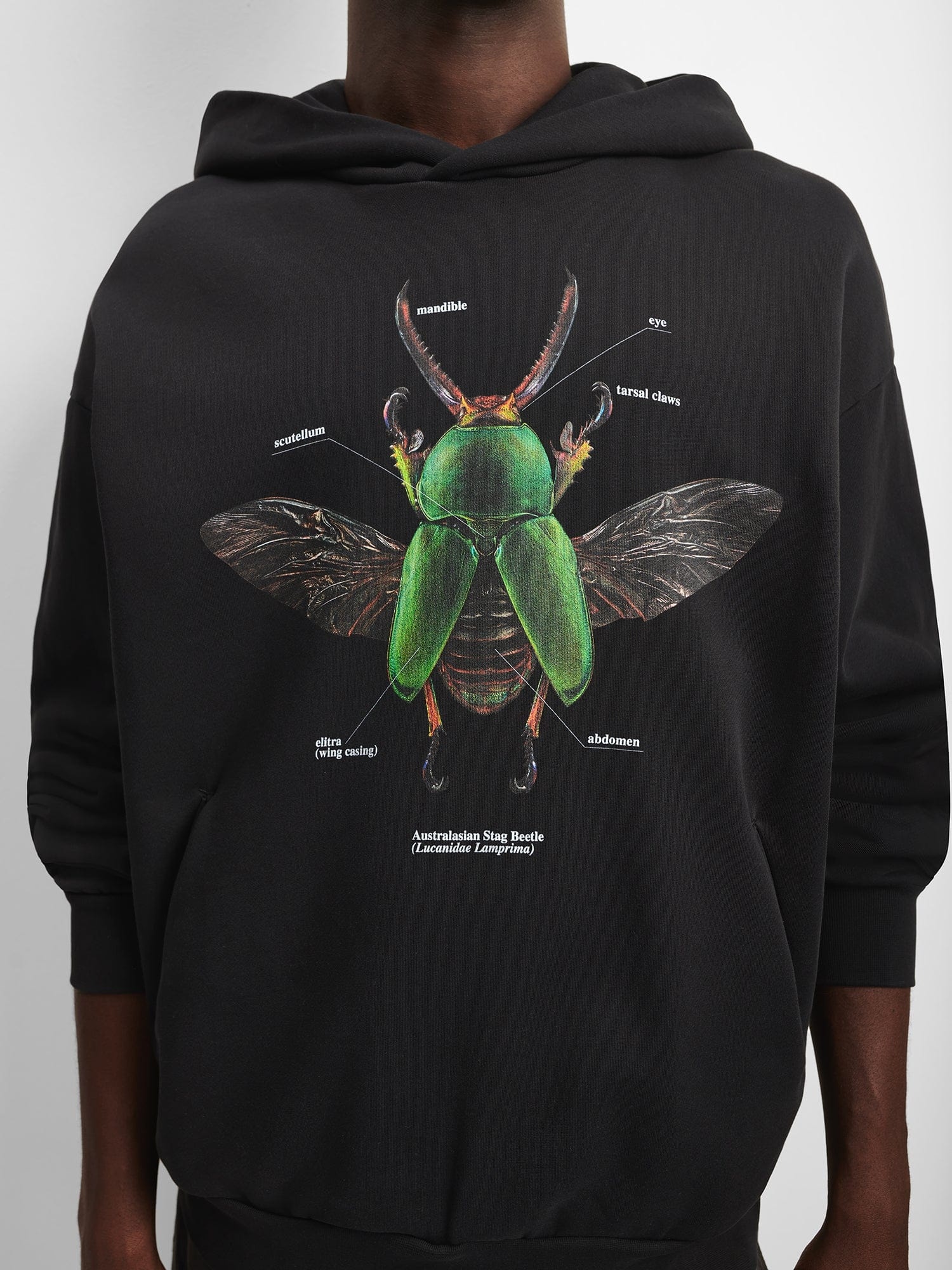 PANGAIA X Levon Biss Sawtooth Beetle Hoodie - Black - 7