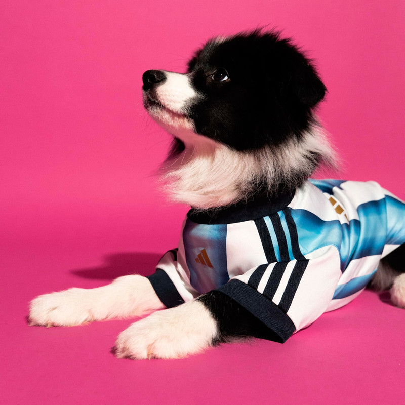 Pet Jersey 26 Argentina 7