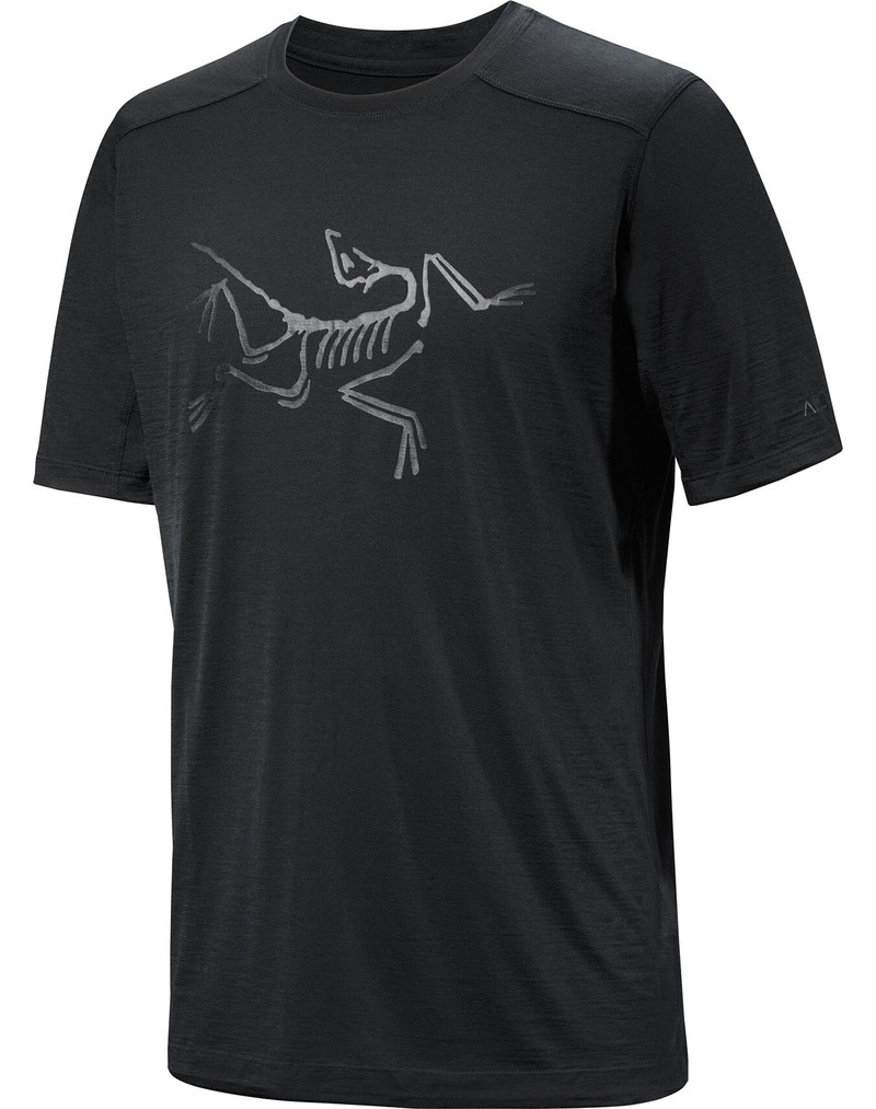 Ionia Merino Wool Logo Shirt SS 1