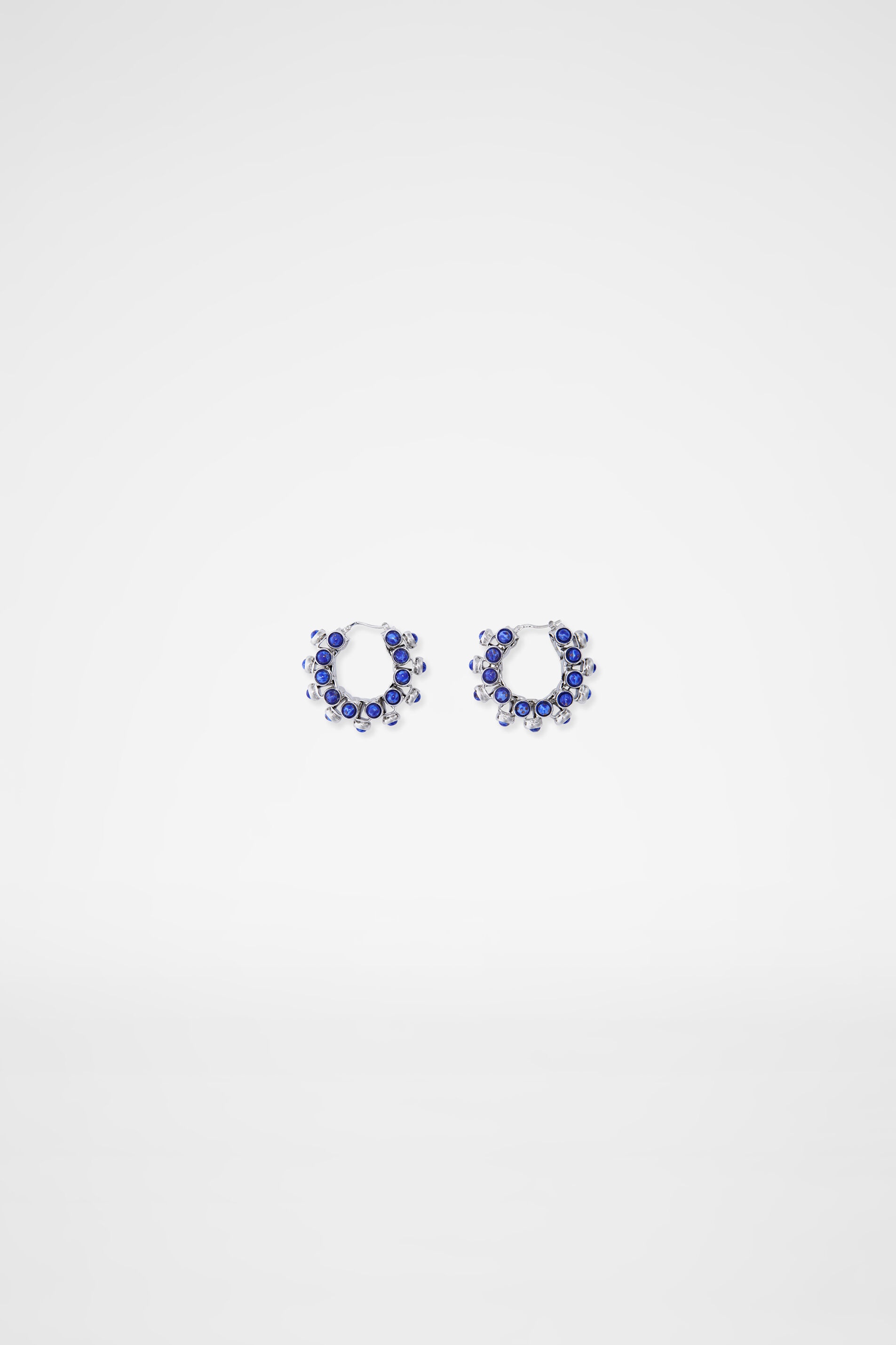 Earrings - 1