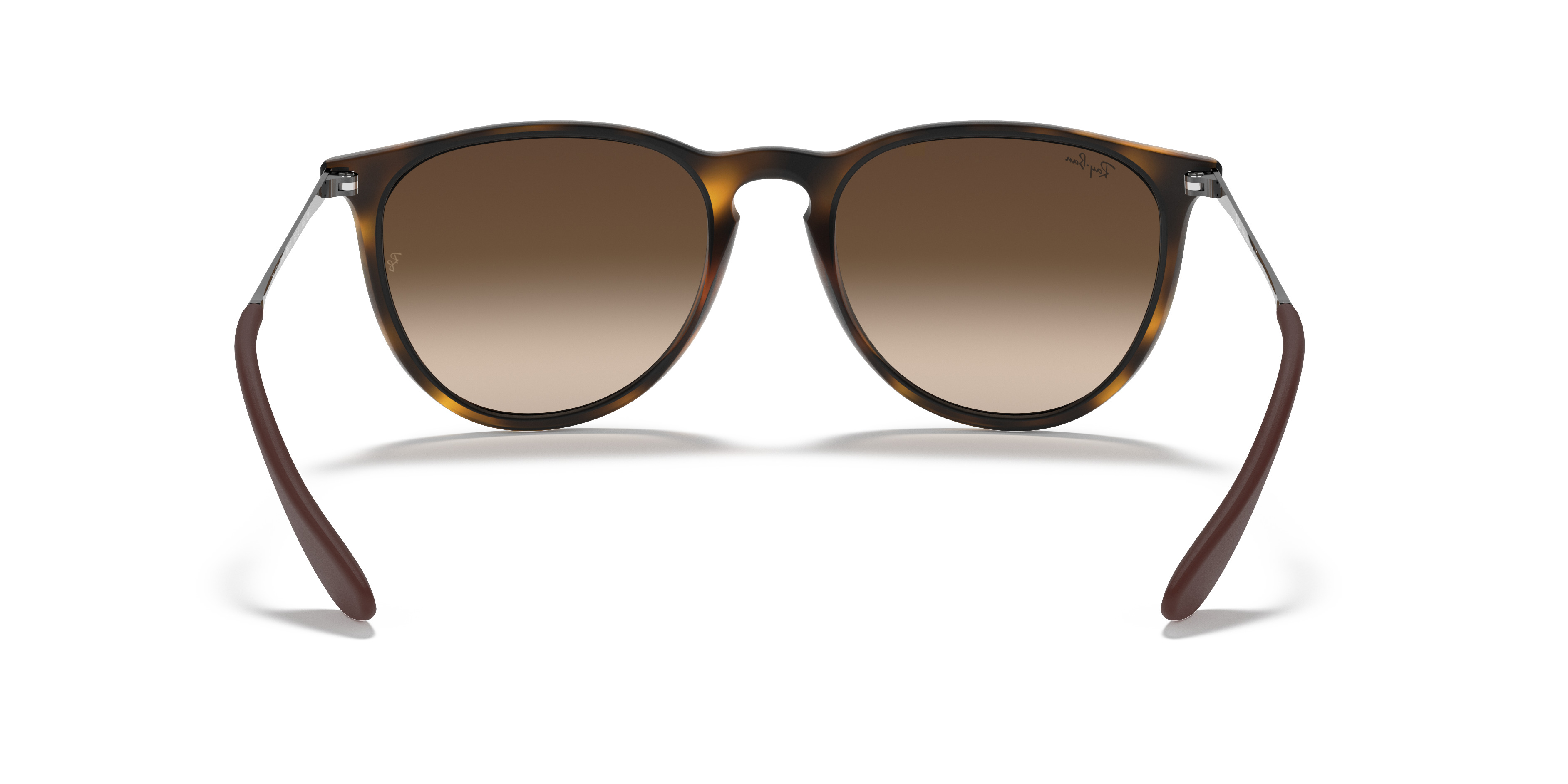 RB4171 Erika Classic - 4