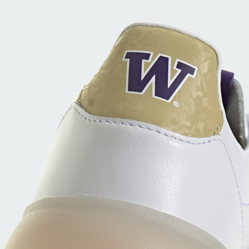 WASHINGTON HUSKIES BARREDA DECODE SHOES 9