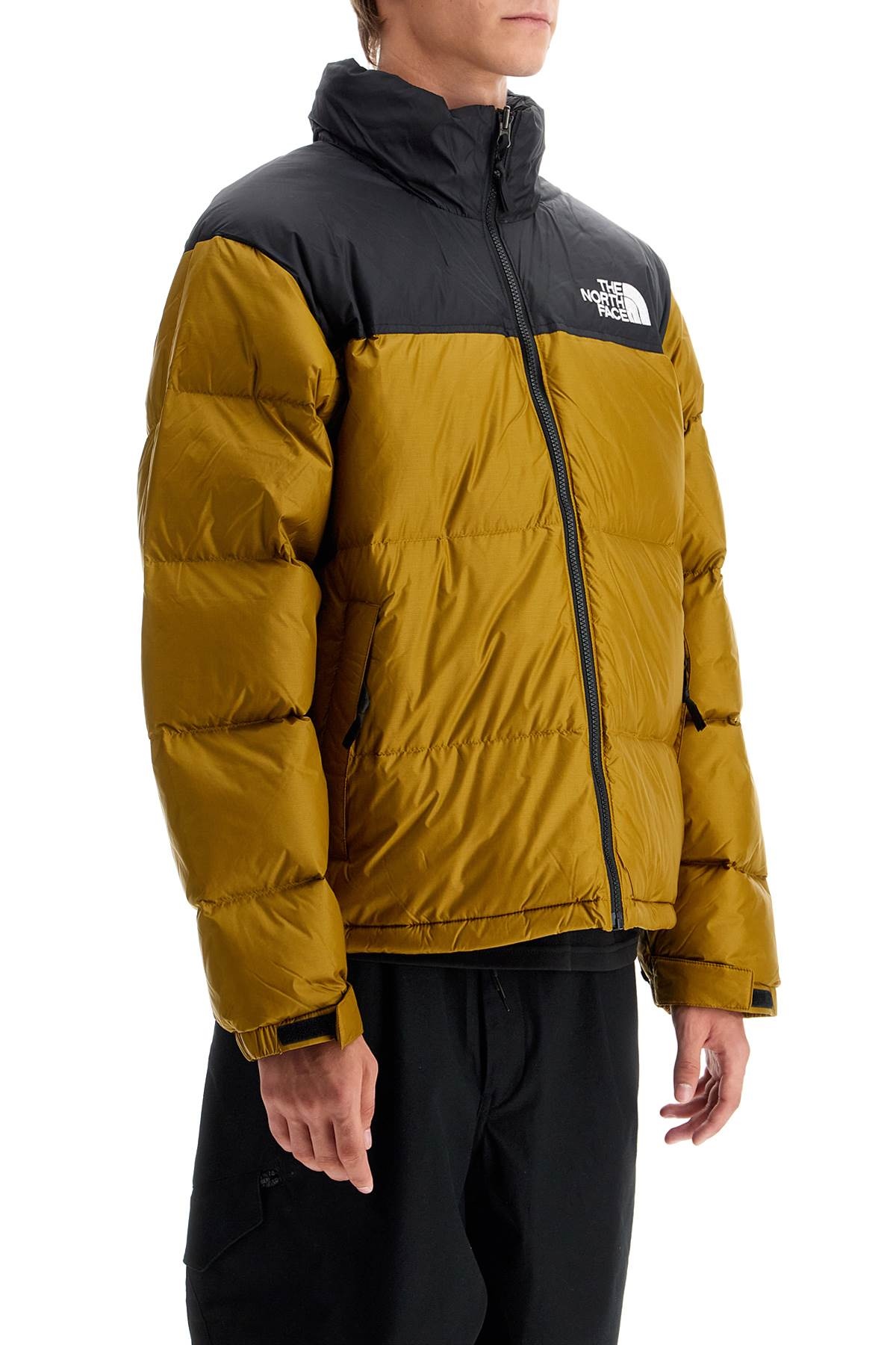 1996 Retro Nuptse Down Jacket - 4