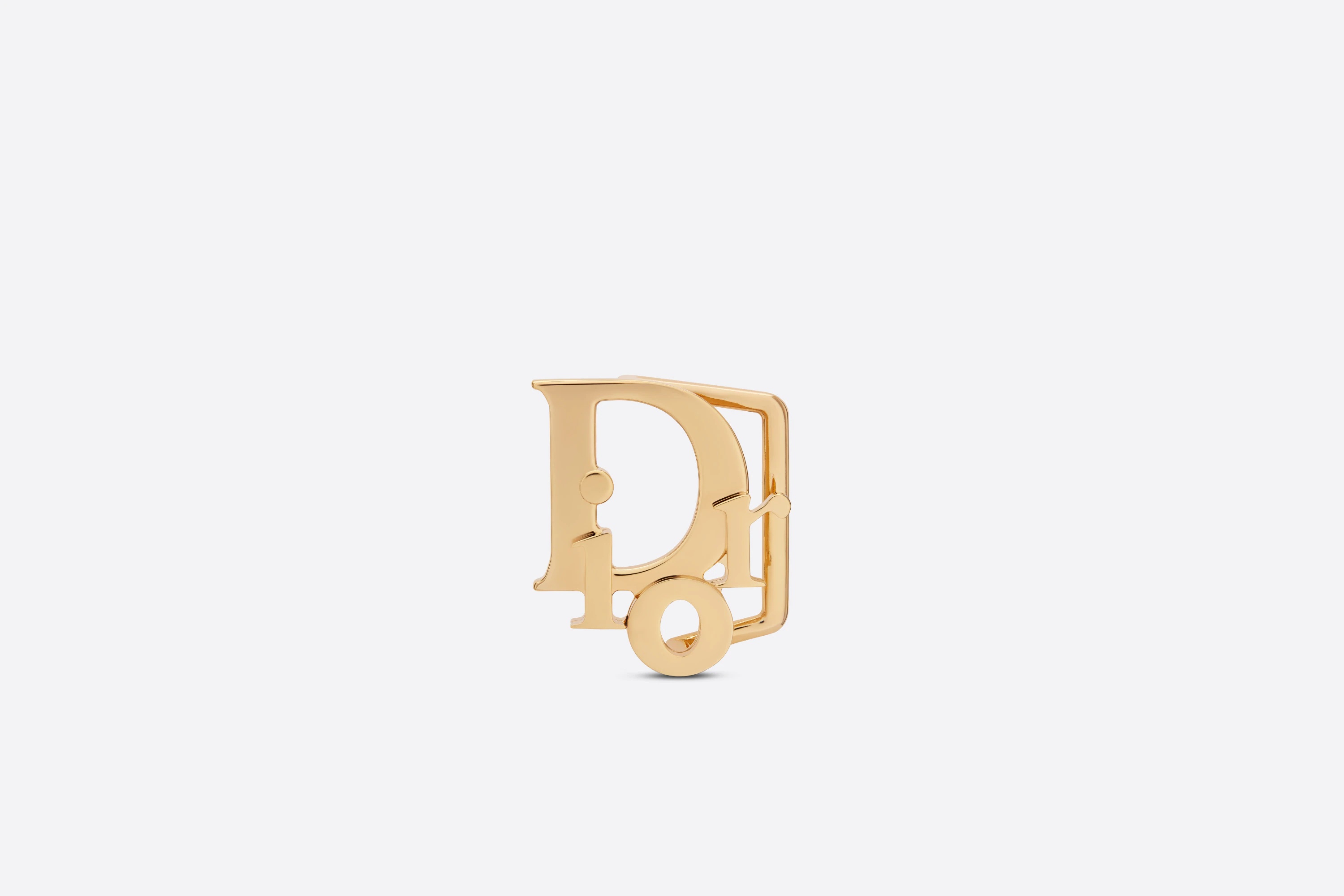 Dior Oblique Belt Buckle - 1