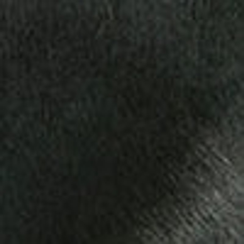 Cary Loafer in Pony 5