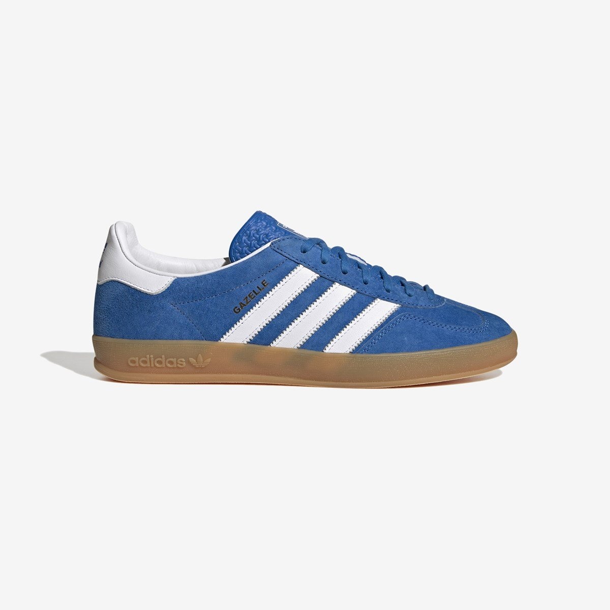 Gazelle Indoor - 1