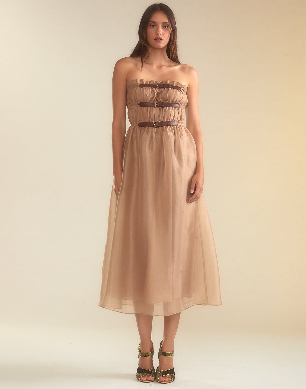 Buckle Up Silk Organza Dress - 6