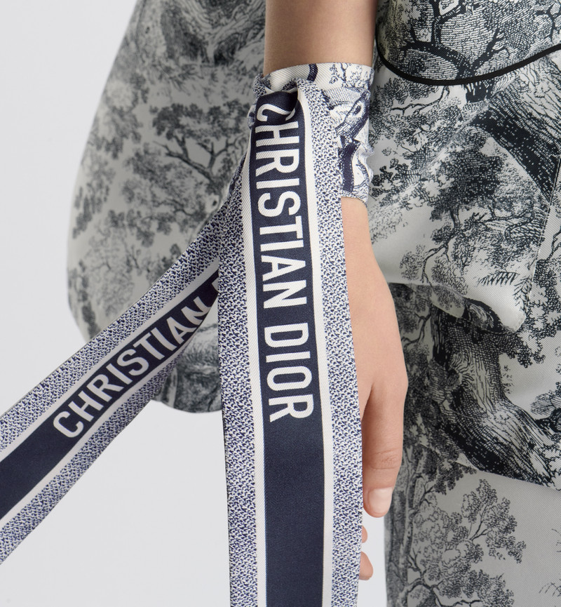 Dior Toile de Jouy Sauvage Mitzah Scarf outlook