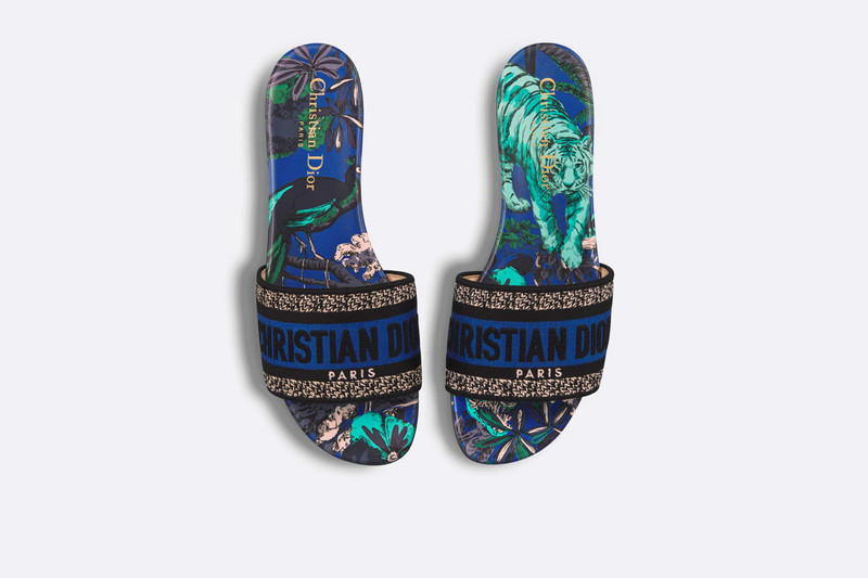 Dior Dway Slide outlook