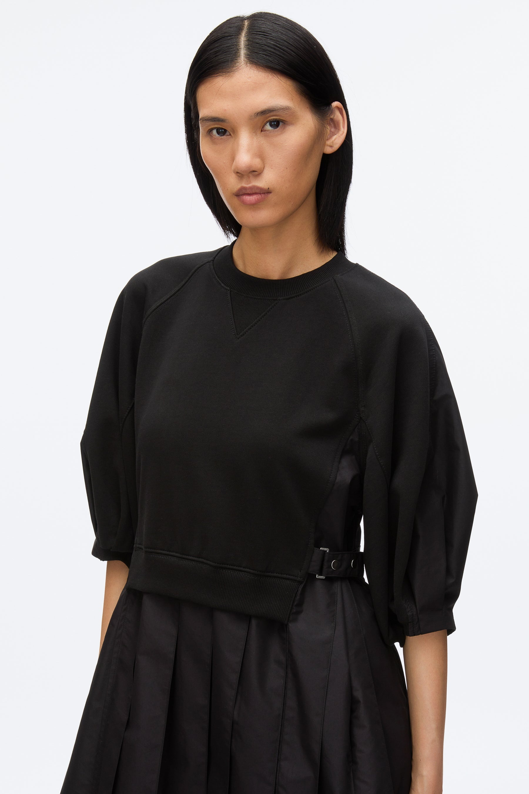 Lantern Sleeve Combo Pleat Dress - 4