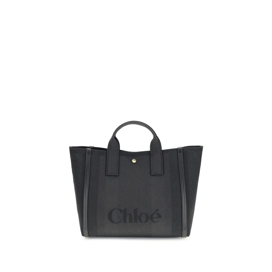 Chloe Carry Handbag - 1
