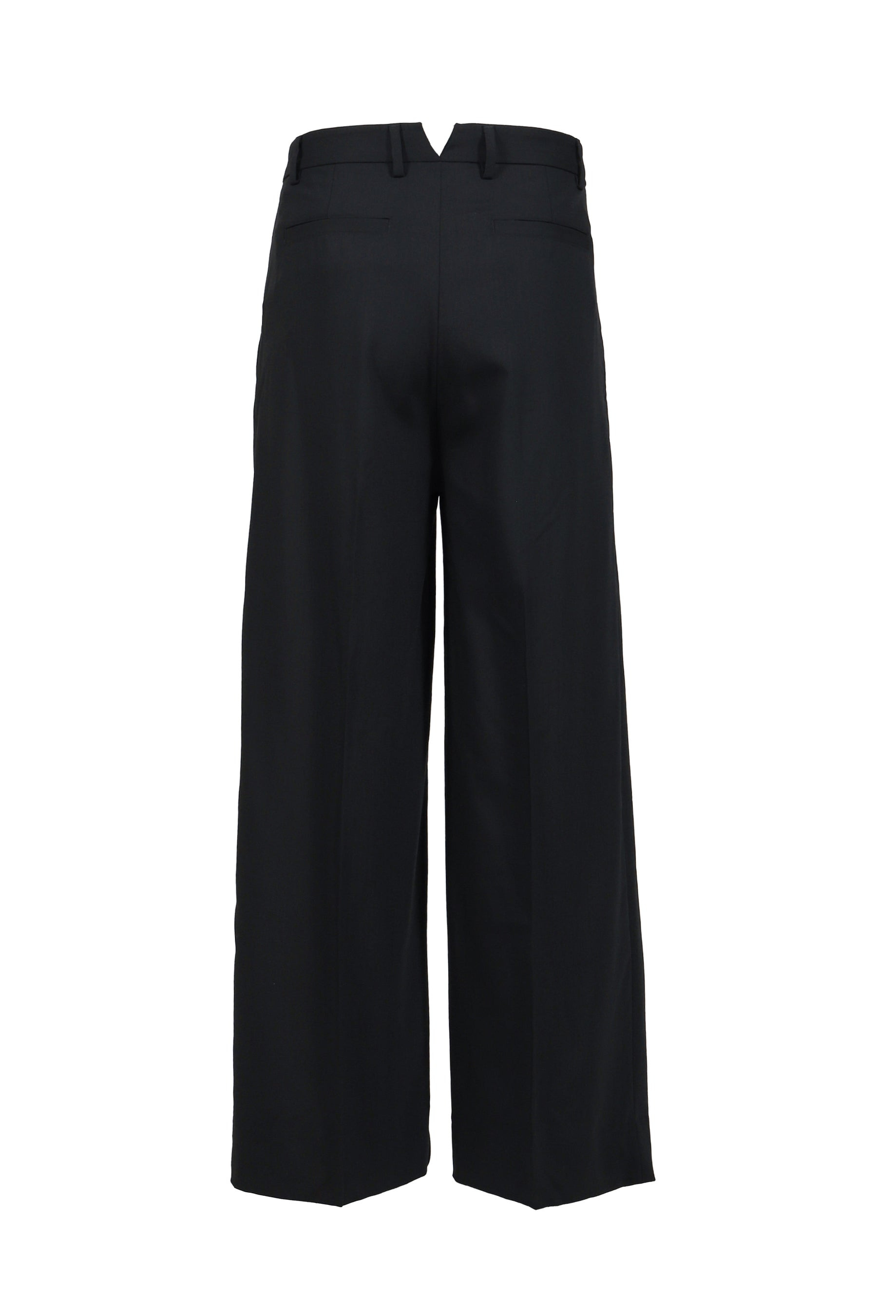 Wide Pleated Trouser / Black - 2