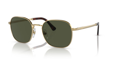 Persol PO1009S outlook