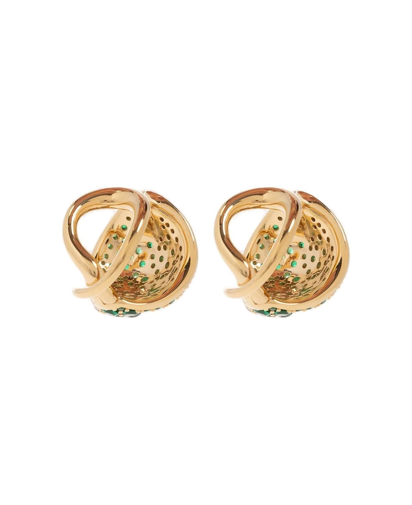Raise Embellished Earrings - 2