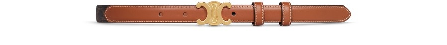 Small Triomphe Belt In Triomphe Canvas And Calfskin - 1