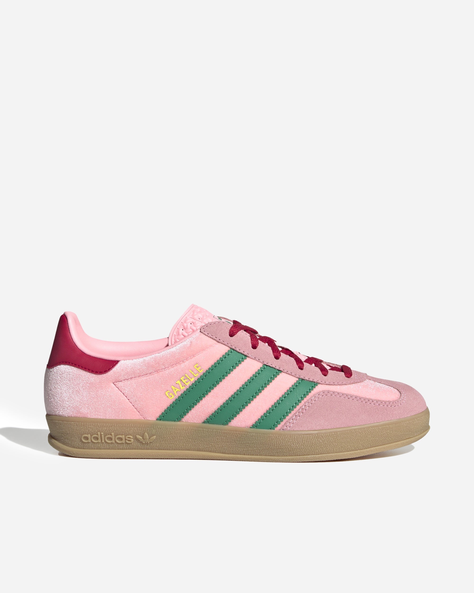Gazelle Indoor - 1