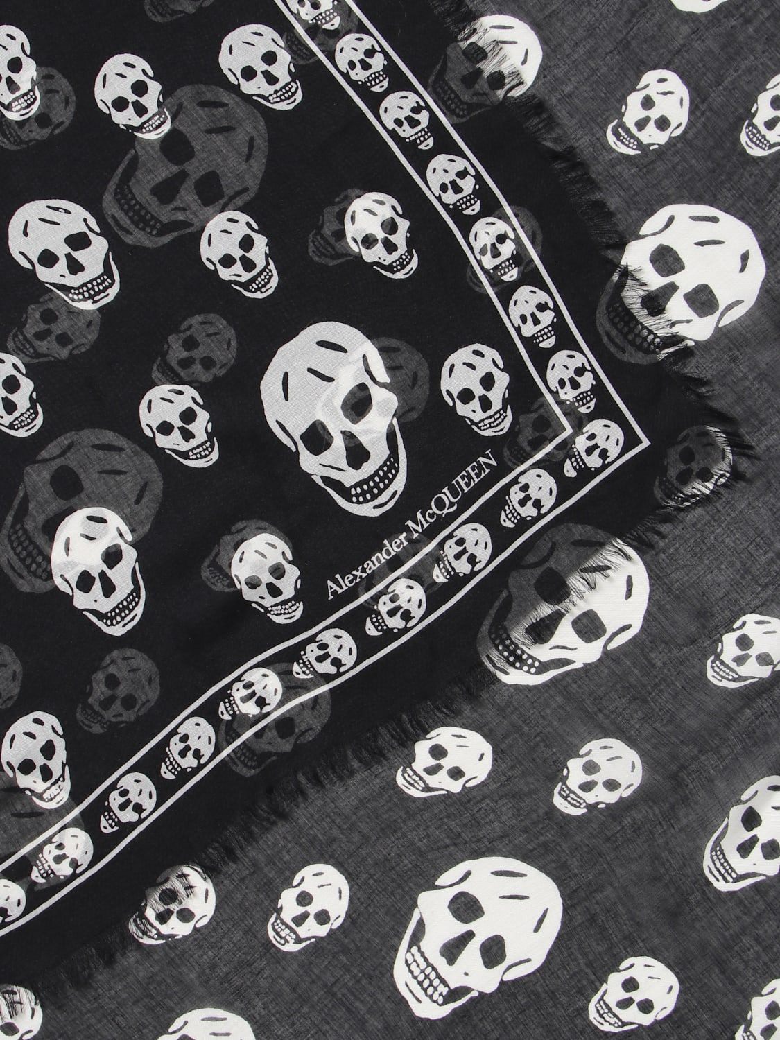 Skull Alexander McQueen scarf in silk blend - 3