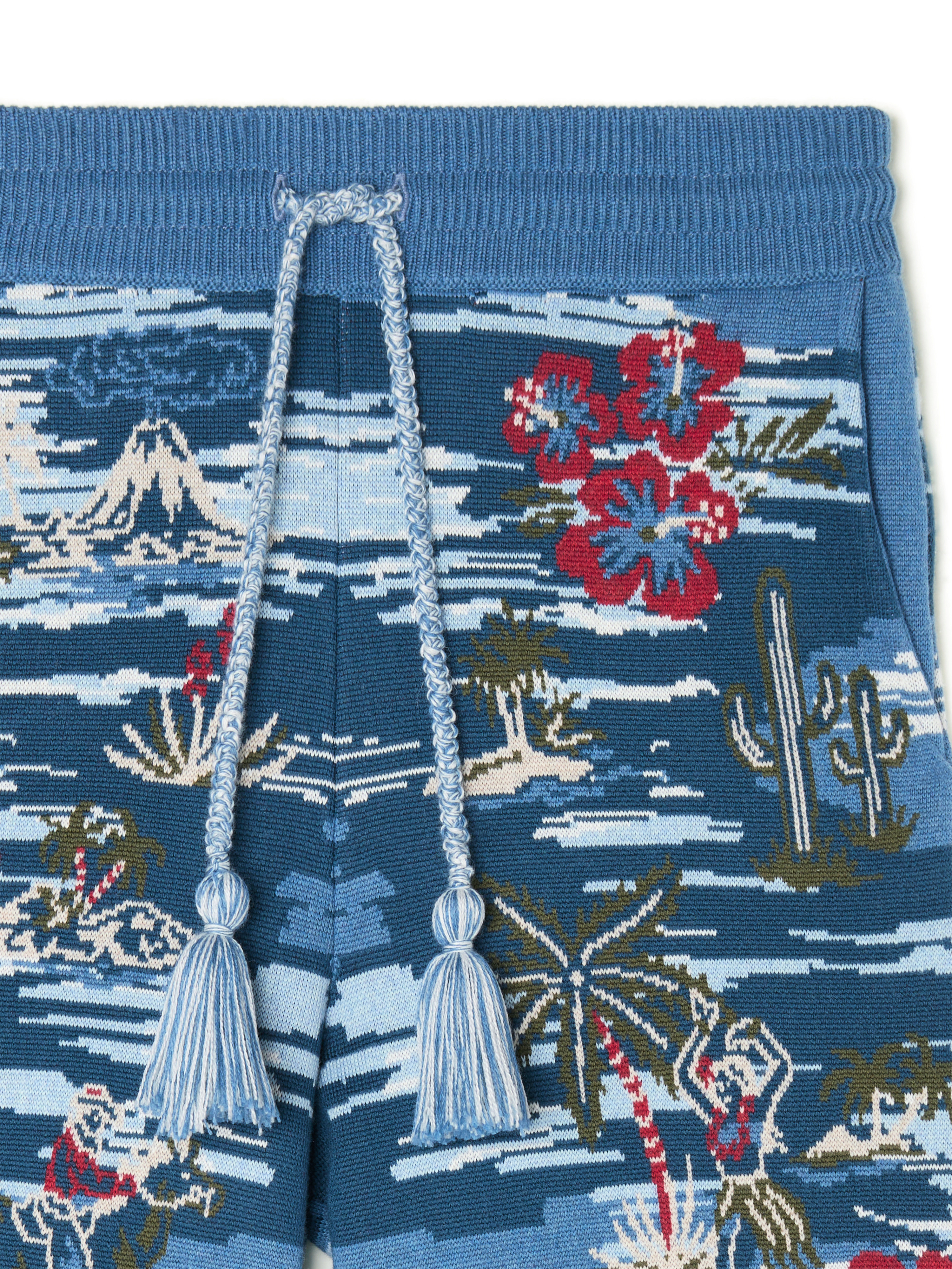 Tex-Hawaii Roundtrip Shorts - 7