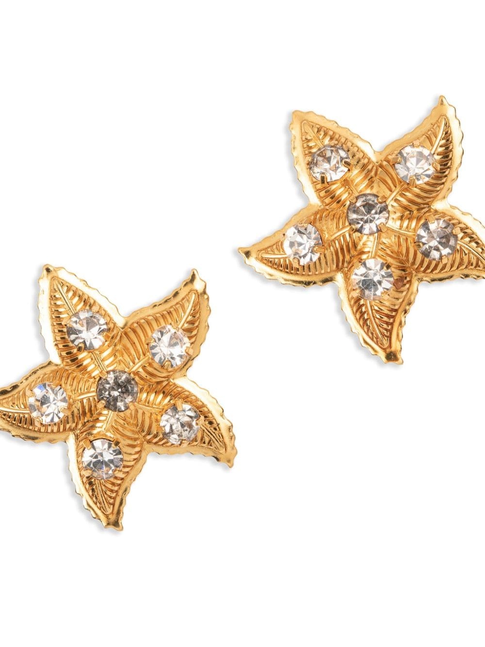 Asteroidea starfish-motif earrings - 2