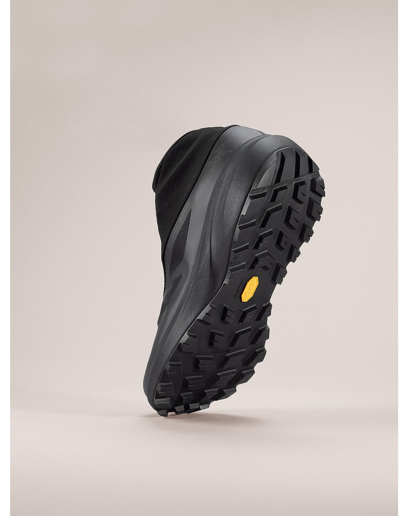 Norvan Nivalis GTX Shoe 4