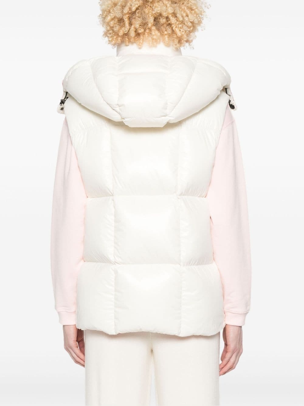 Luzule gilet - 4