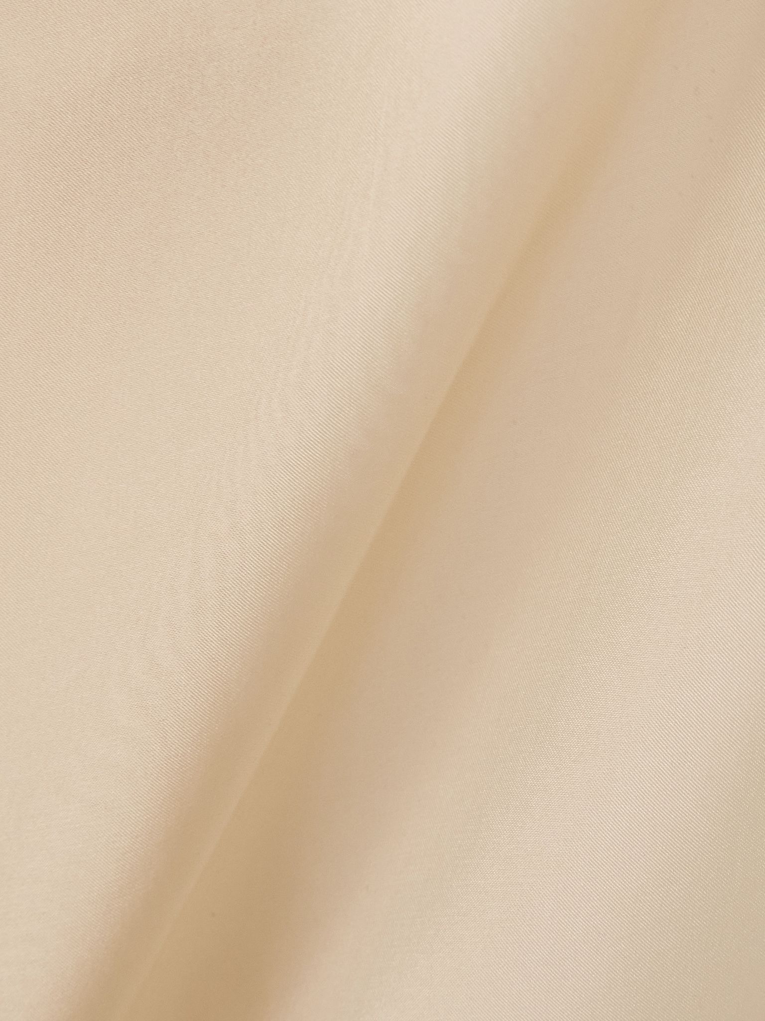 Trenton pleated silk-organza tapered pants Beige - 6