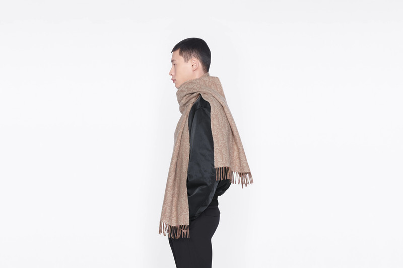 Dior Oblique Double-Sided Scarf 6