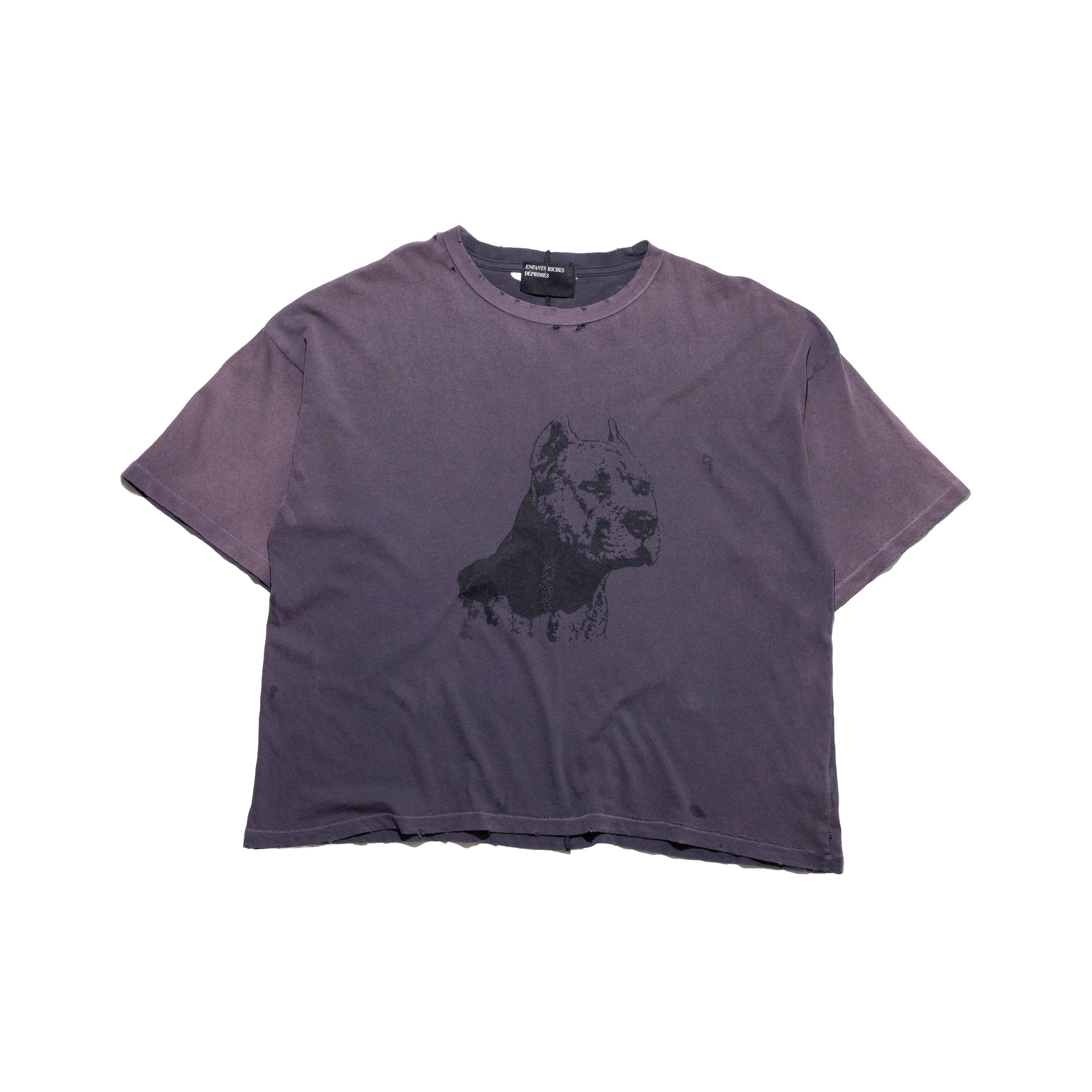 NA PITBULL T-SHIRT (EXCLUSIVE) - 1